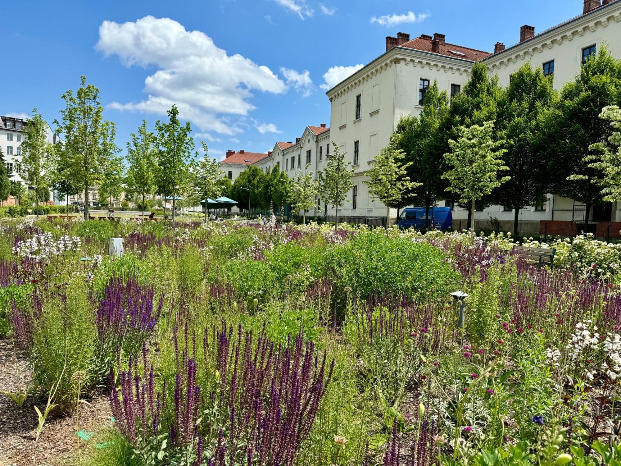 Gio Apartments, Luxury, Old Town Cracow Krakau Buitenkant foto